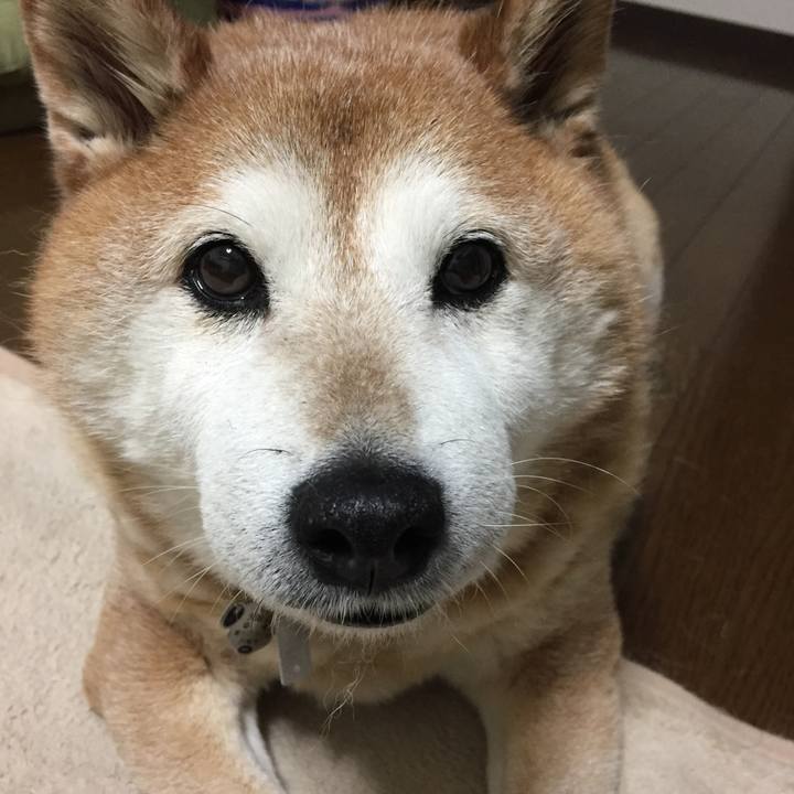 55e99720 ebba 4b3b 8130 05e14c13641e 1558009478224