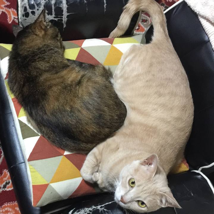 55e9b723 256b 4e92 bbcd b5c67fe181f8 1561540386500