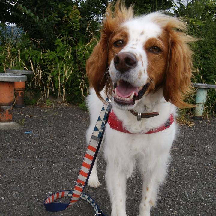 55e9cfea 4075 40fd 9758 e689b26333fa 1529235892983