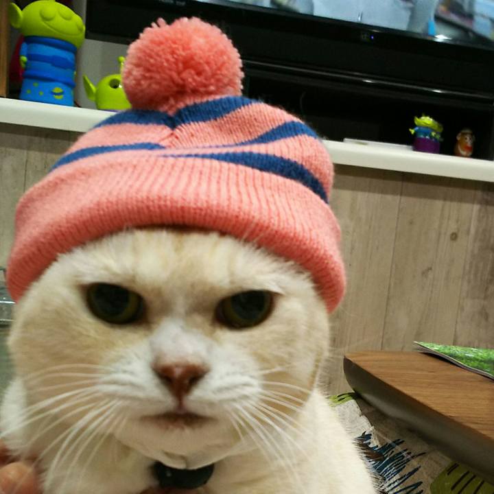 55e9f3af 0c99 4835 b638 8d0f1e24533c 1514035988741