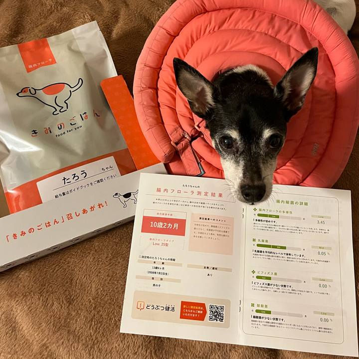 55ea1ede b6f5 4483 a1a2 9741228633cd 1636807819019