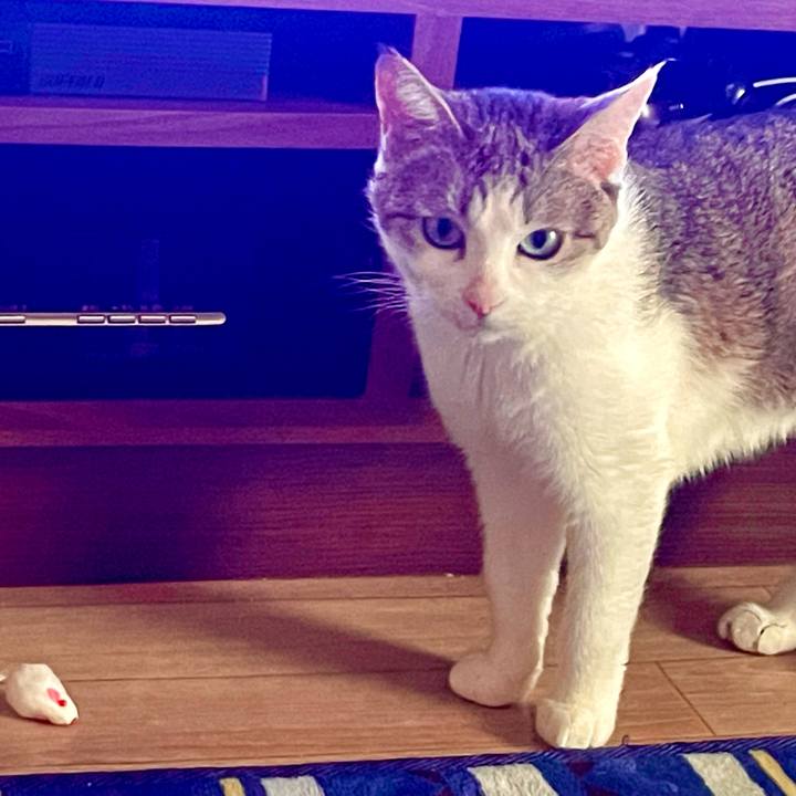 55ea3f26 0243 407a 8cb1 5f2705aeee75 1628154858083