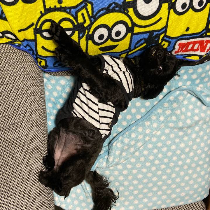 55ea4c78 473c 4b7a b5c4 8f3d5763aea7 1573039315051