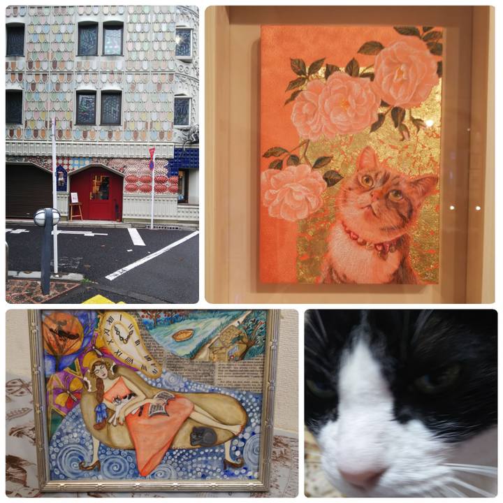 55ea57f2 bafe 4579 a6b3 ff69fd182de6 1575700317654