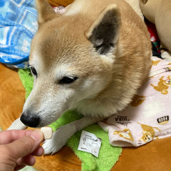 55eace49 4bb3 4387 8187 f07557f7fbb2 1638791249259