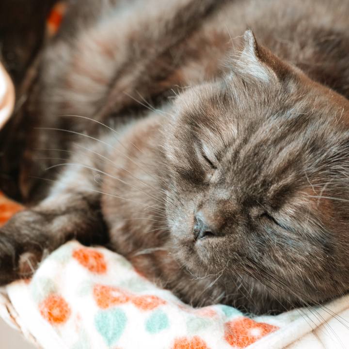 55eafc1f 370c 4afc be01 7dd69d6f4c7f 1620039294234