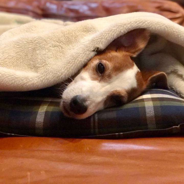 55eafd9c ee37 4f8c bc7d 5fe7f737c35d 1735001105591