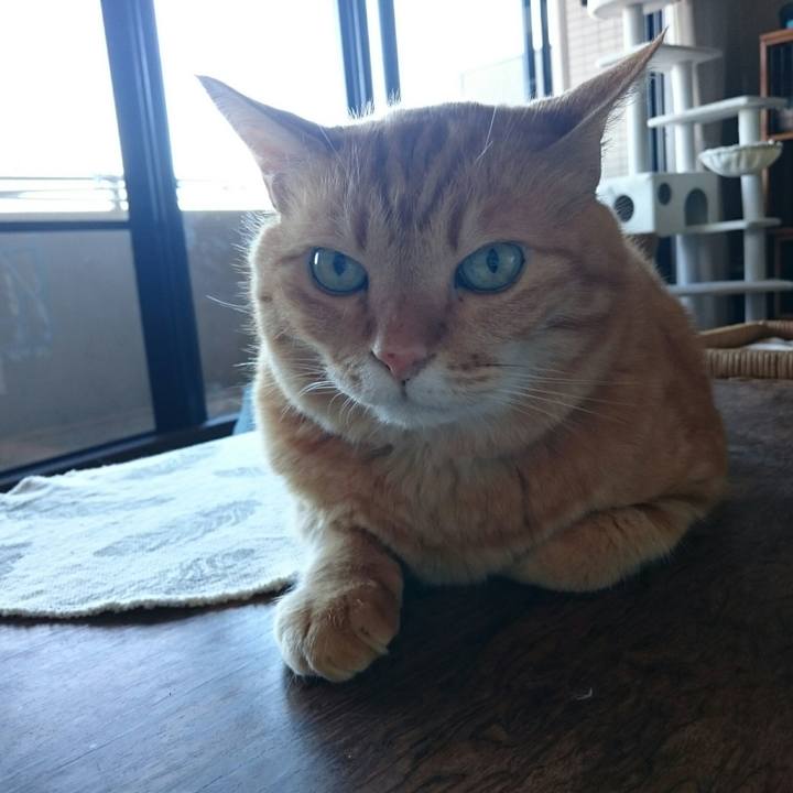 55eb0793 33ee 4ee2 ba31 25781ecdb34a 1527113232403