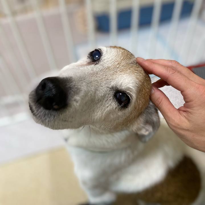 55eb09c1 0a99 4896 bb6d 933ef99c9680 1662472142191