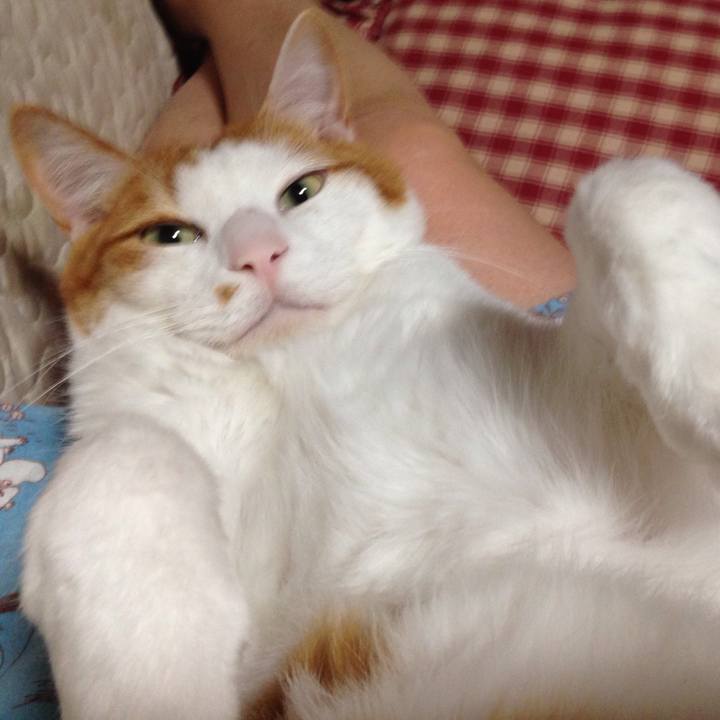 55eb0c3f dcd4 42df a0f4 28c90905ffa6 1527947774178