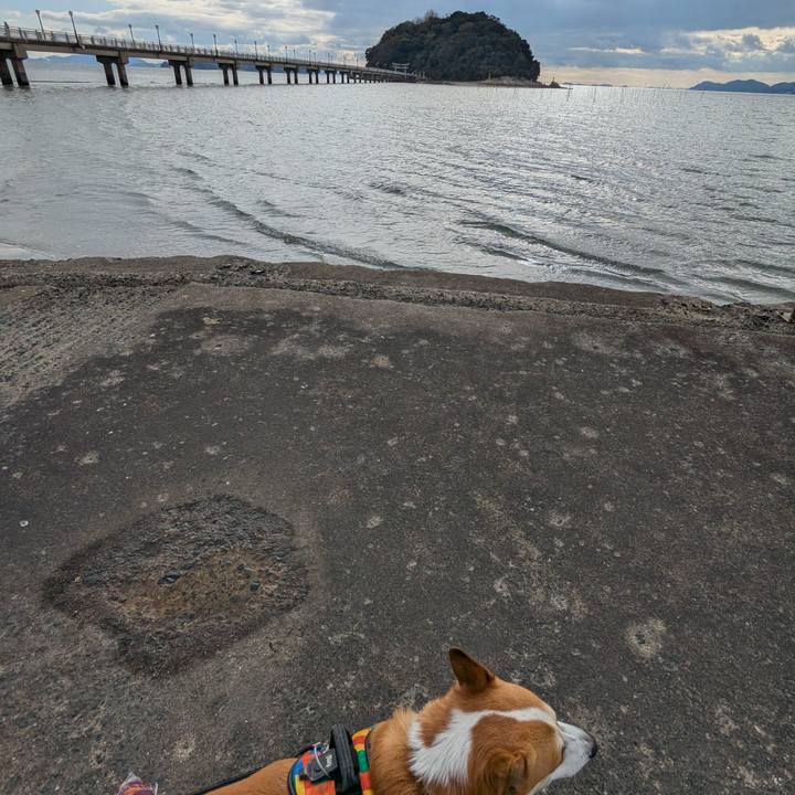 55eb479a a48d 47ba 8c24 79ccef4e4ee2 1737013791160