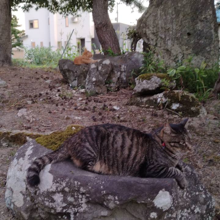 55eb666a 3bf0 473c 94bf 18803feb6ea9 1691662144763