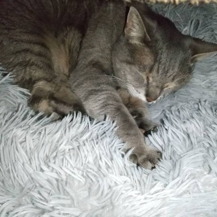 55eb6717 ad2a 4682 9d6c 918746c663b8 1676549834255