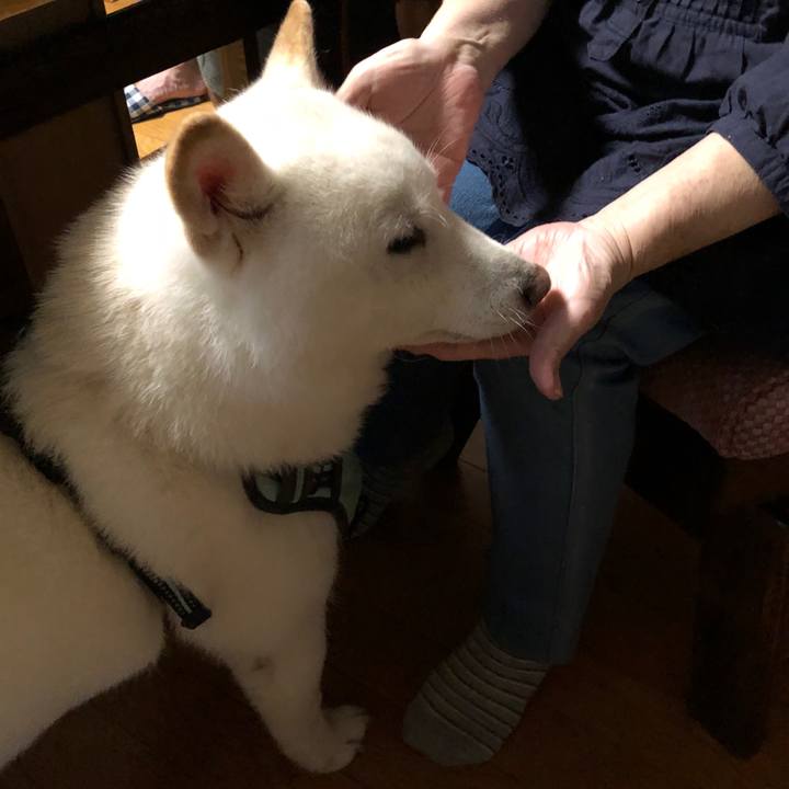 55eb6cf4 6f1a 4b02 b191 fc496db5a506 1690796205377