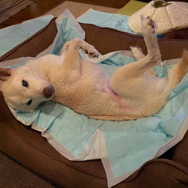 55eb7f73 eba0 4dd7 aadf 52d9961e077d 1668803691957