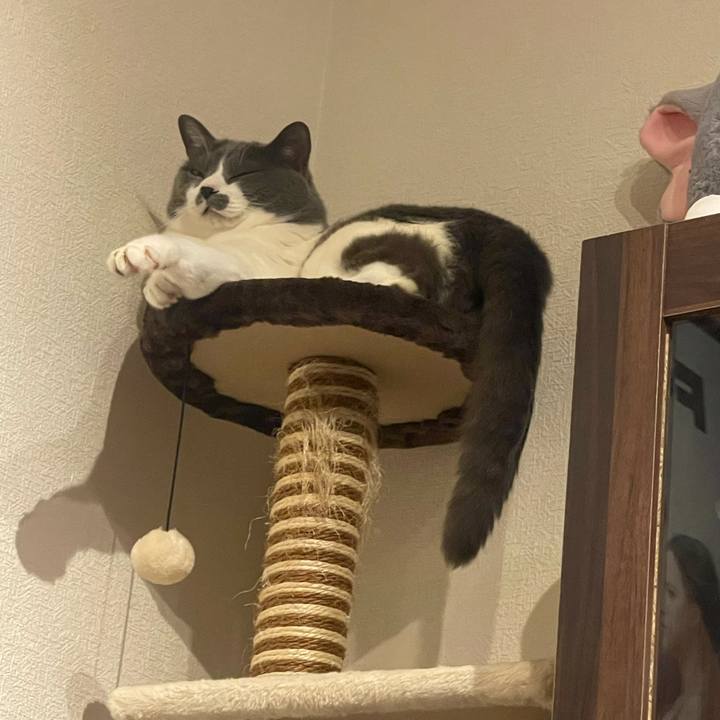 55eb84bf 20ec 4bba 92aa b68dfc93cd55 1716896743579