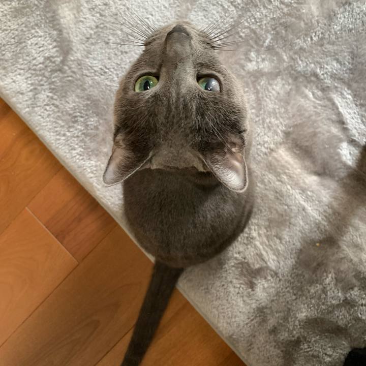 55eb8c25 7715 413a 8219 a94a2ca1272e 1638091828209