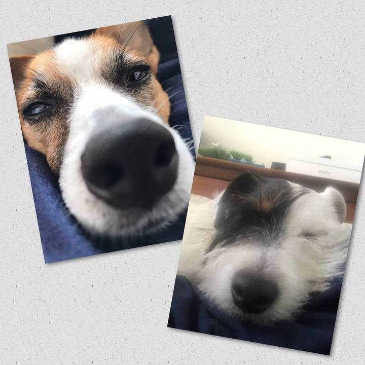 55eb9565 0d21 4f6b b2aa f63734997873 1542782793031