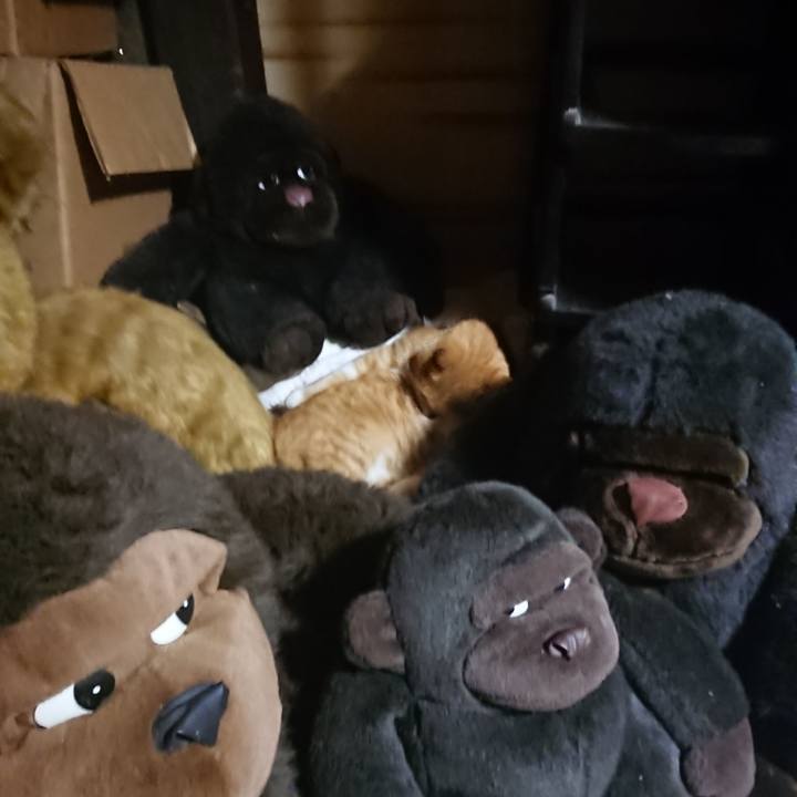 55ebbb8e 55bb 4830 8791 10cd37a986b7 1603794519936