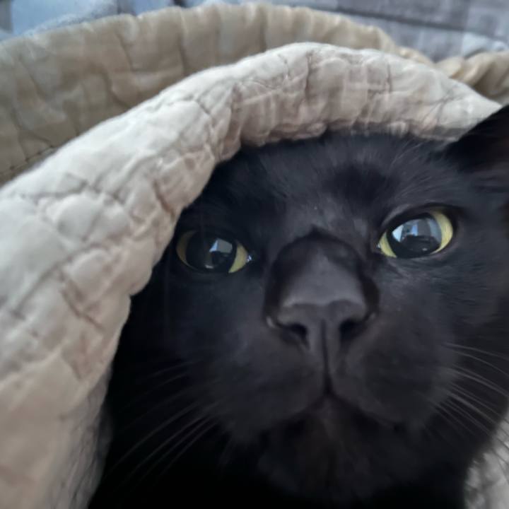 55ebbe8a e7bd 4b46 a8f3 009e2d608c66 1701216661458