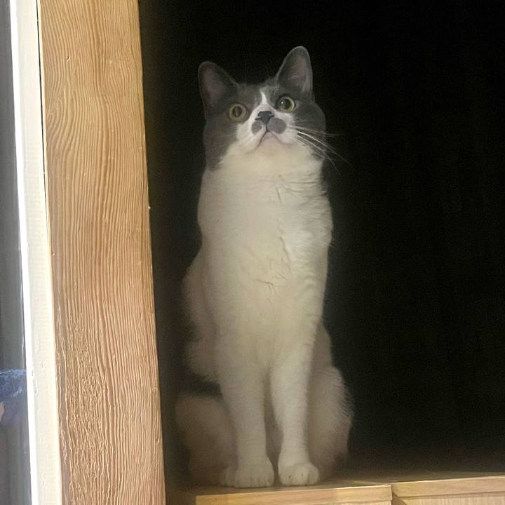 55ebf40d e082 4047 88da 34e2fbee2126 1653824874613