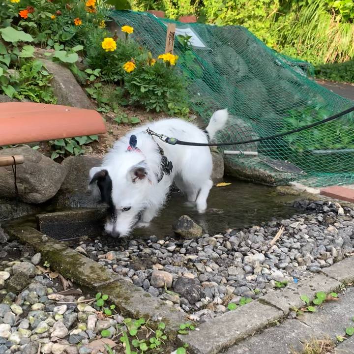 55ec1e0d fc7d 4cdb b4ee cfd301a84568 1657529499328