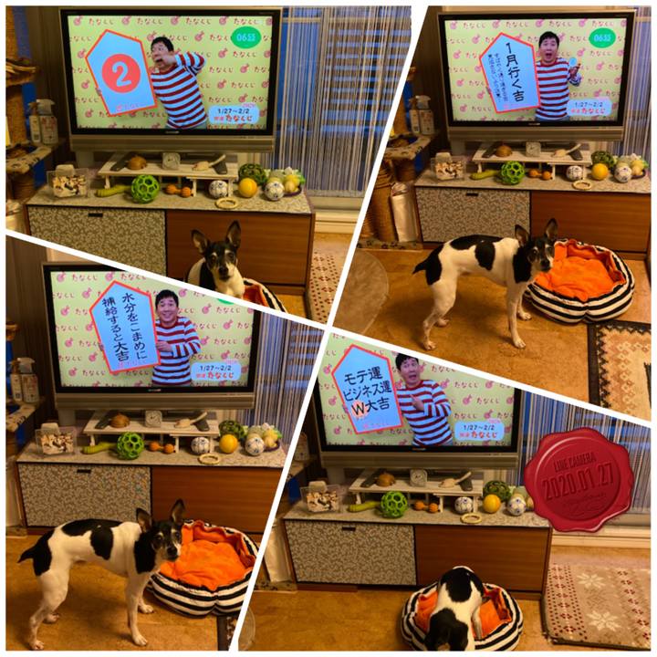 55ec2ee8 9017 413e a858 84b57cd48f14 1580076435845