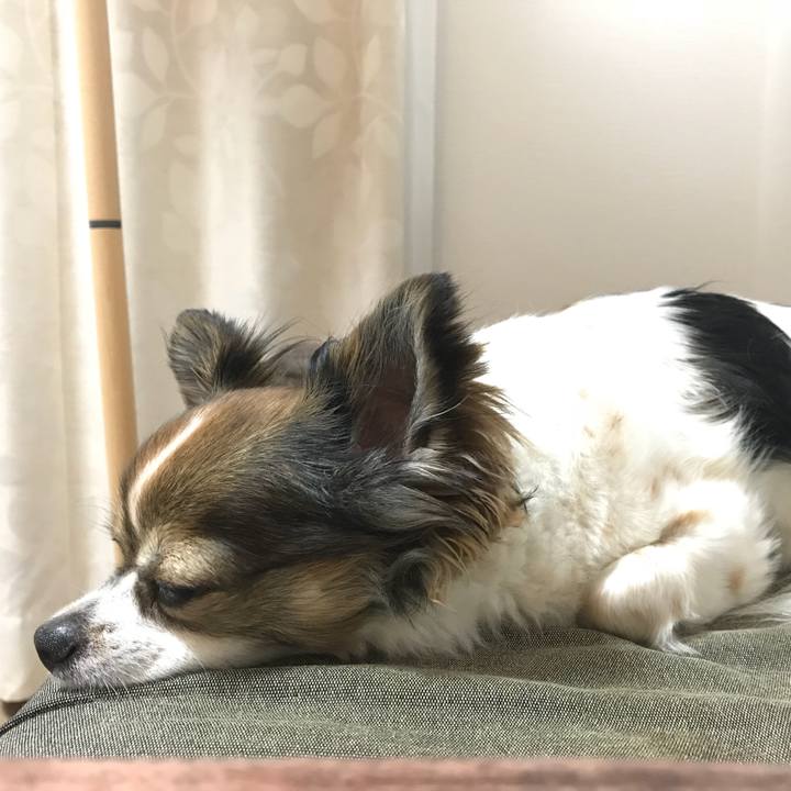 55ec8e14 0efb 49a8 a7b7 3241f6e9a76f 1528550790139