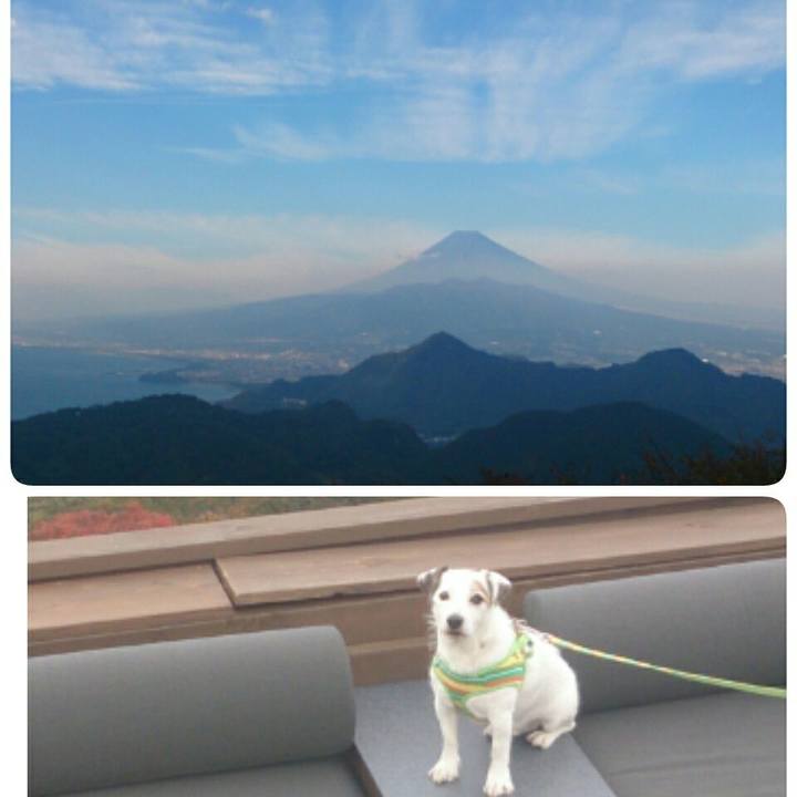 55ecc9f7 8652 461f b5ed a911a4ccea8c 1509604590263