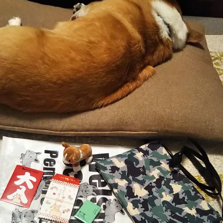 55ecfc93 12da 4d3a 9a53 5de49a029cba 1638712574321