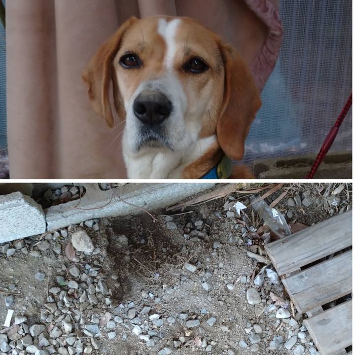 55ed3c8a 38c0 4443 a06a 172e0442b01d 1617345032374