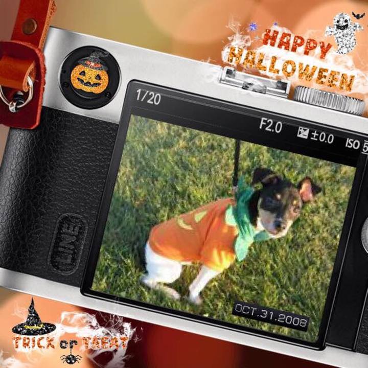 55ed6a75 2cce 437e 9b46 aee0b2f8f1f5 1540977867666