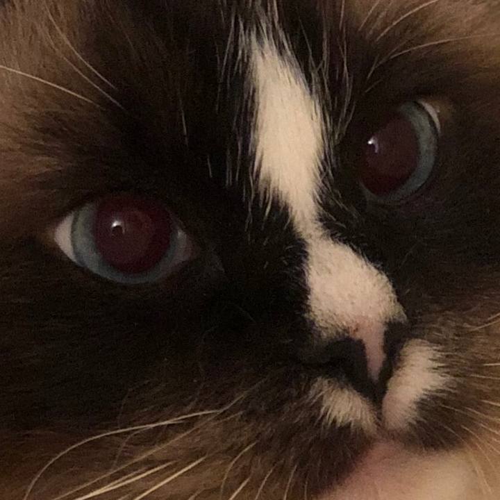 55ed96d3 b69d 4203 82a6 9a26f919ad36 1551514283423