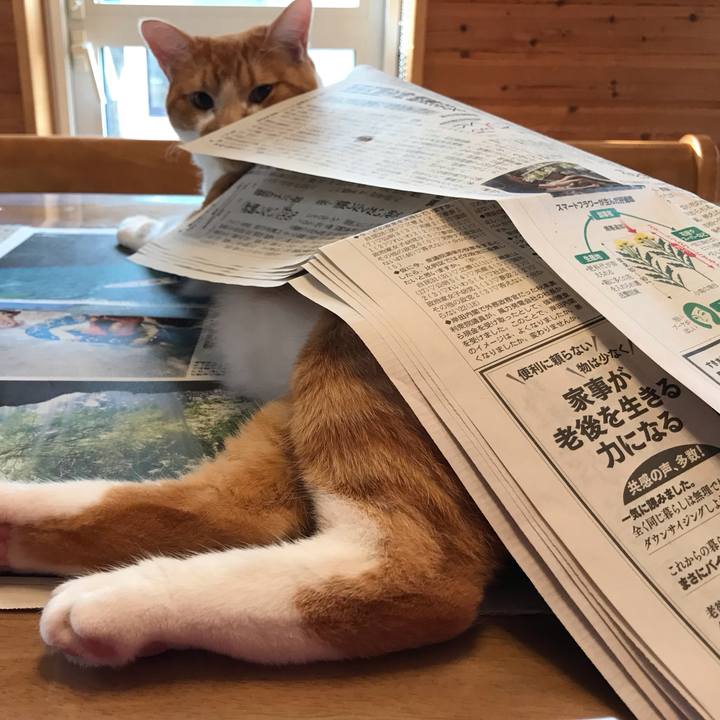 55ed9a3a 55aa 49a4 9c6a 244b435faa4c 1692566207754