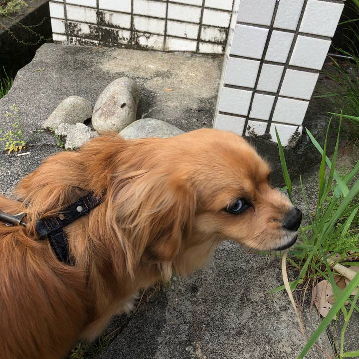 55ed9b75 1e2d 4454 bb4d 9e782bd4b5fd 1524864697149