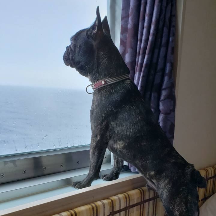 55edaafb f21f 4961 b4e1 b52240e75e6f 1566790389255