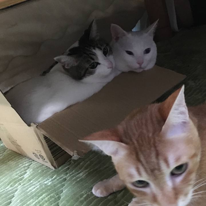 55edb291 a100 4ddf bf28 75f63e3c3ed3 1545555536899