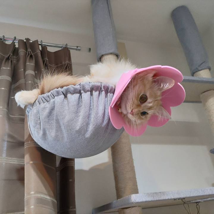 55edcc76 c818 4f80 8c03 f5c61052a933 1688594832677