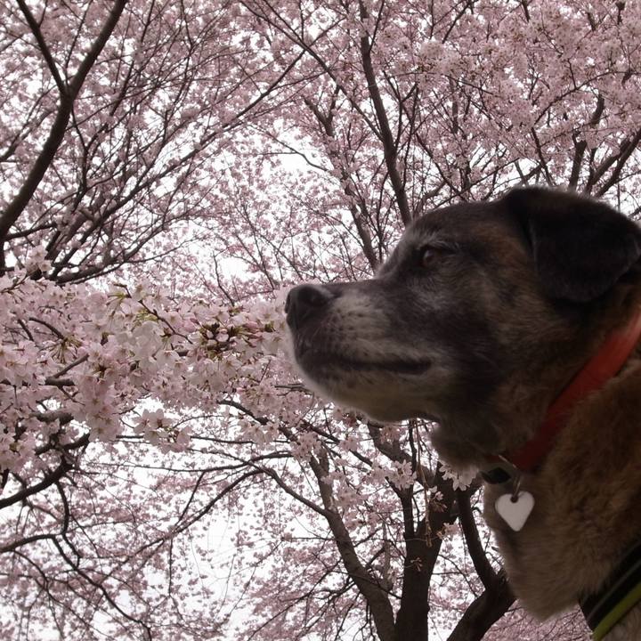 55edce10 a24e 4e12 b2d9 e63a6ca83dfd 1585095641434