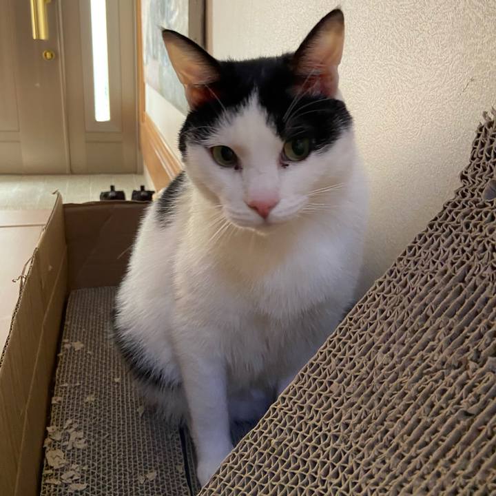 55edcfa6 6364 408f 8226 70a598189b81 1583729597474