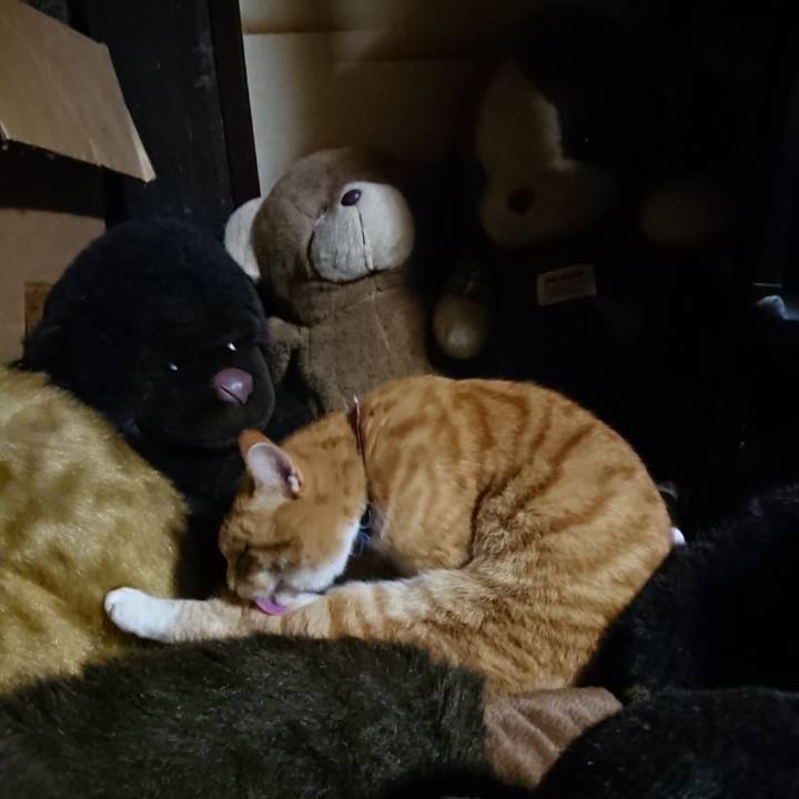 55edf675 ca5b 4c37 b196 cb6169bab4d3 1607508948359