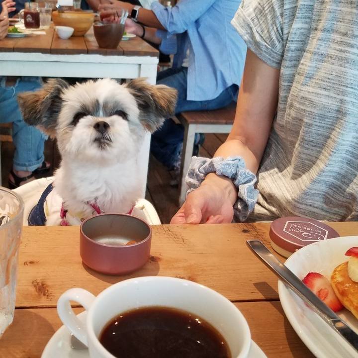 55ee04c3 5b27 43bc b762 2c2e6e78961c 1568553253179