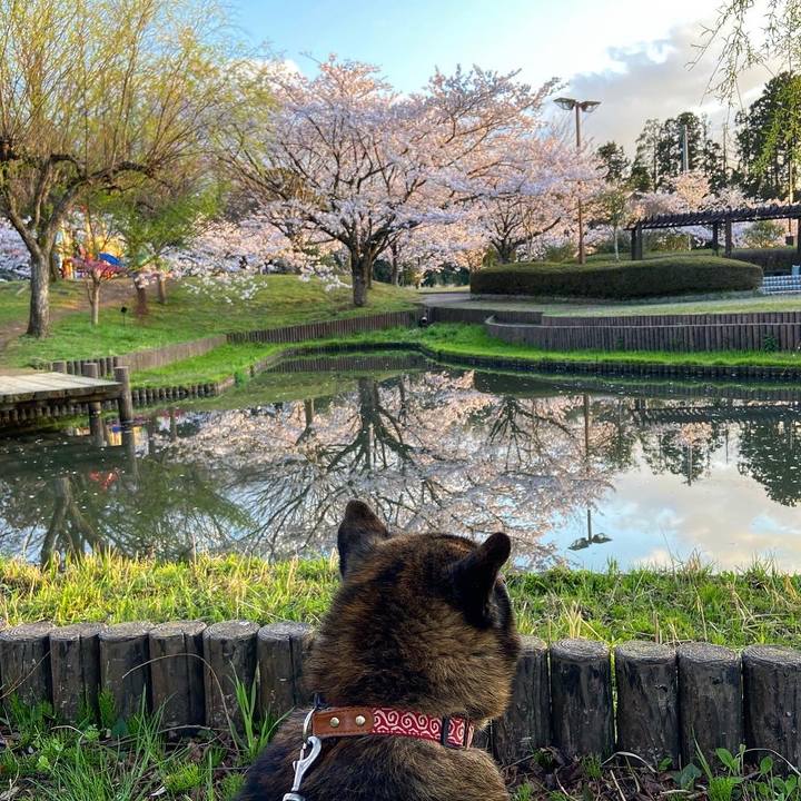 55ee3e30 e635 4caa 97f3 dfd0296a3f1e 1617631169760