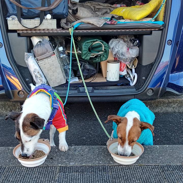 55ee433c 9e7b 4624 9786 750946e030a1 1638089895866