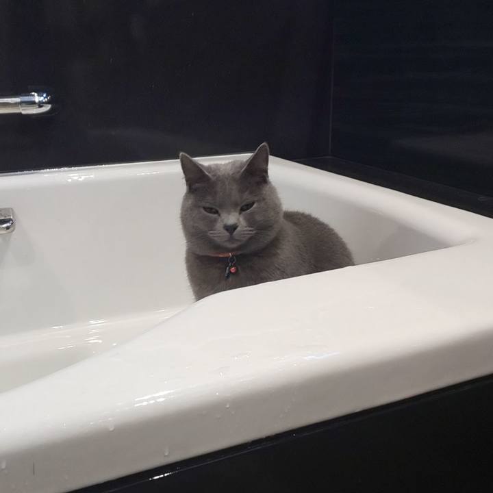 55ee6a79 ce6a 419c bfd2 55ff2cfb171c 1544660589653