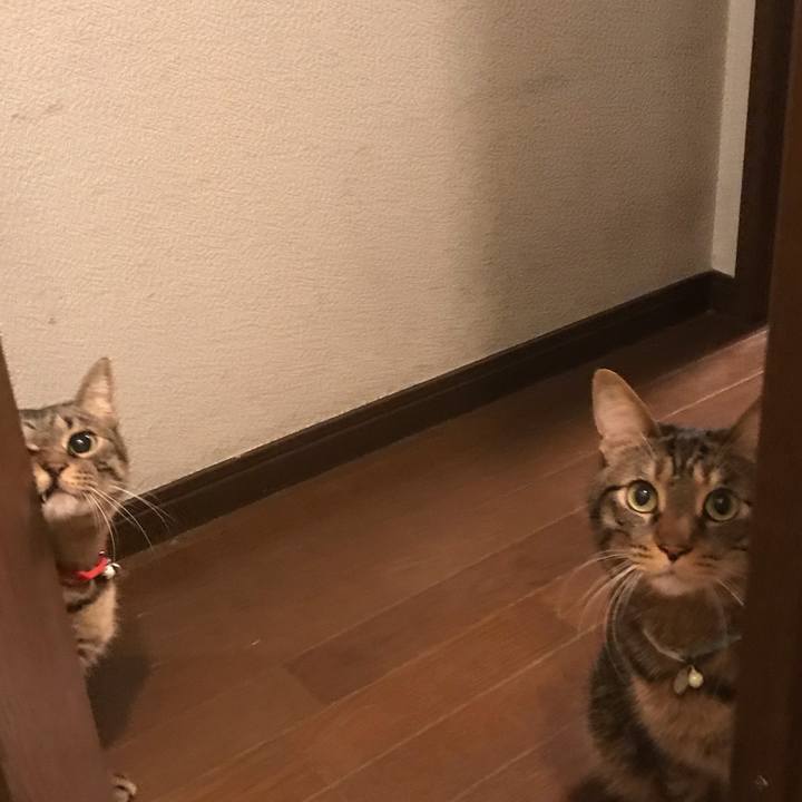 55ee7241 2a27 421b 91e4 9268270e6ade 1547992838975