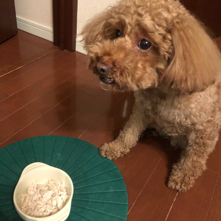 55ee82f0 166e 4b03 8c36 99c2150ee1a0 1520320118097