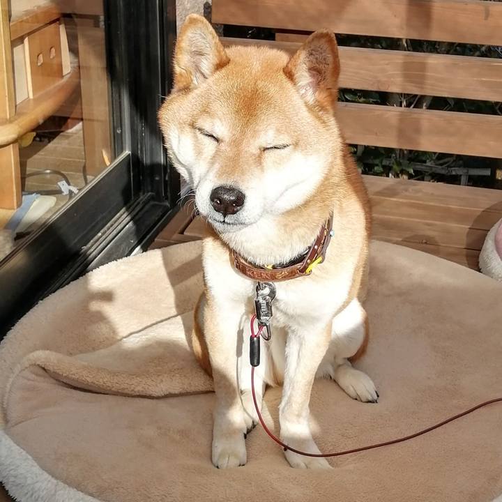 55ee87d1 3f6d 4c2f a1ab 7537aa5c48ba 1615452581266