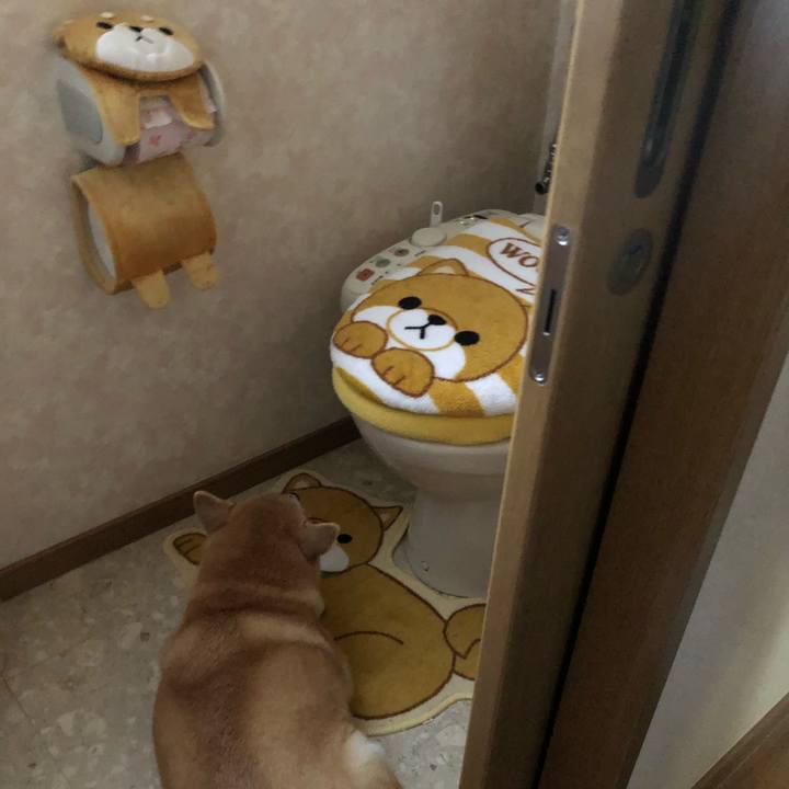 55eeb791 eece 40f4 b621 a64dd83fbedc 1571065096008