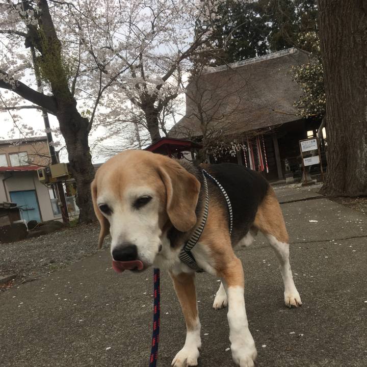 55eef3da de40 40ed b52b 6220c774deb7 1523541639749